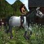 Girl riding horse in white oak stables
