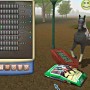 Trainiere dein Pferd bei Championship Horse Trainer für PC