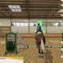 Horse jump training in championship riding star game for PC