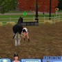 Pferdepflege bei Sims 3 Einfach Tierisch