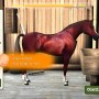Derby quest: Züchte dein Pferd