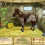 My horse farm - horse game