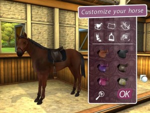 Take care of your horse game